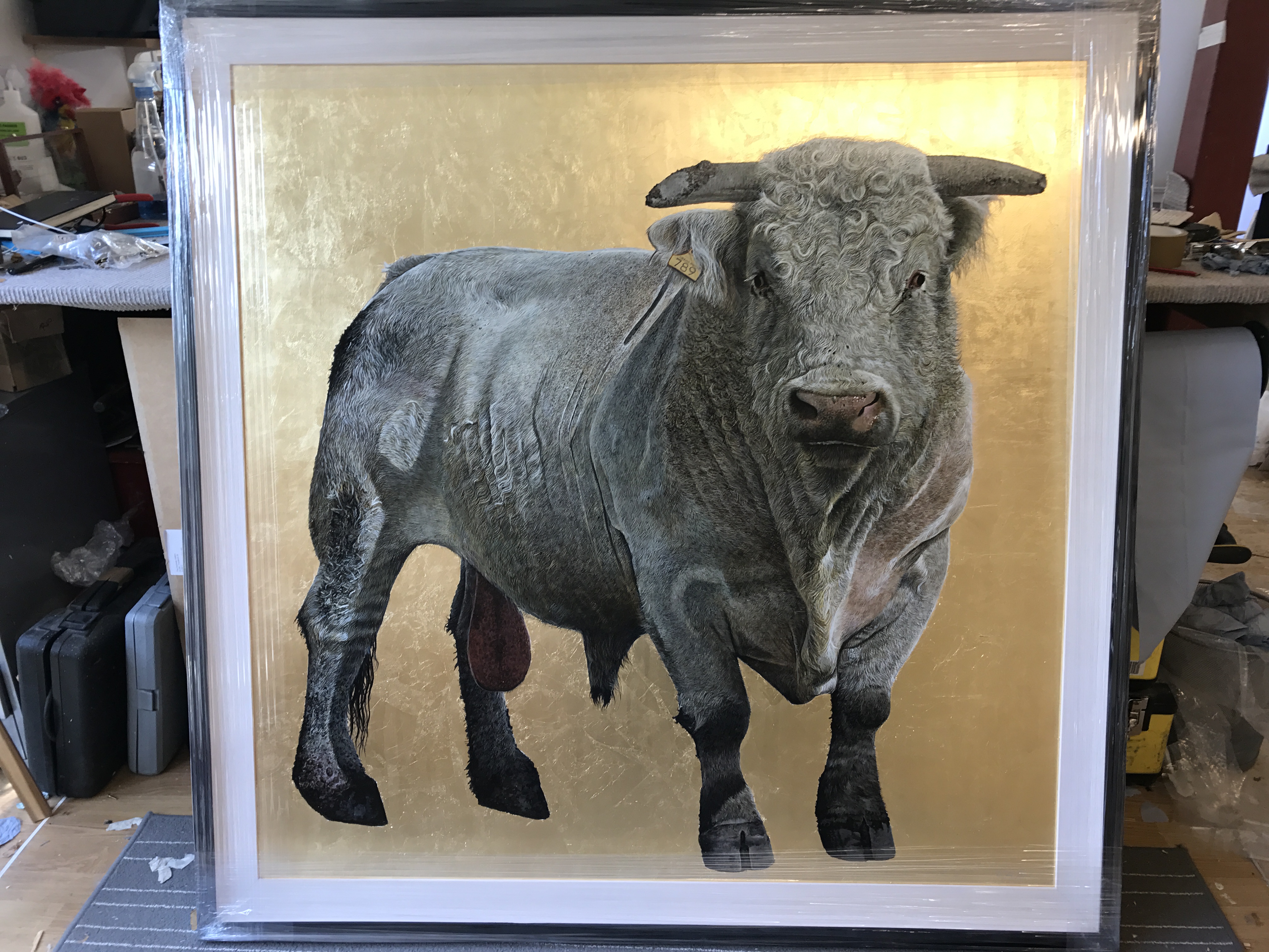 Photo 4-25-17, 10 45 28